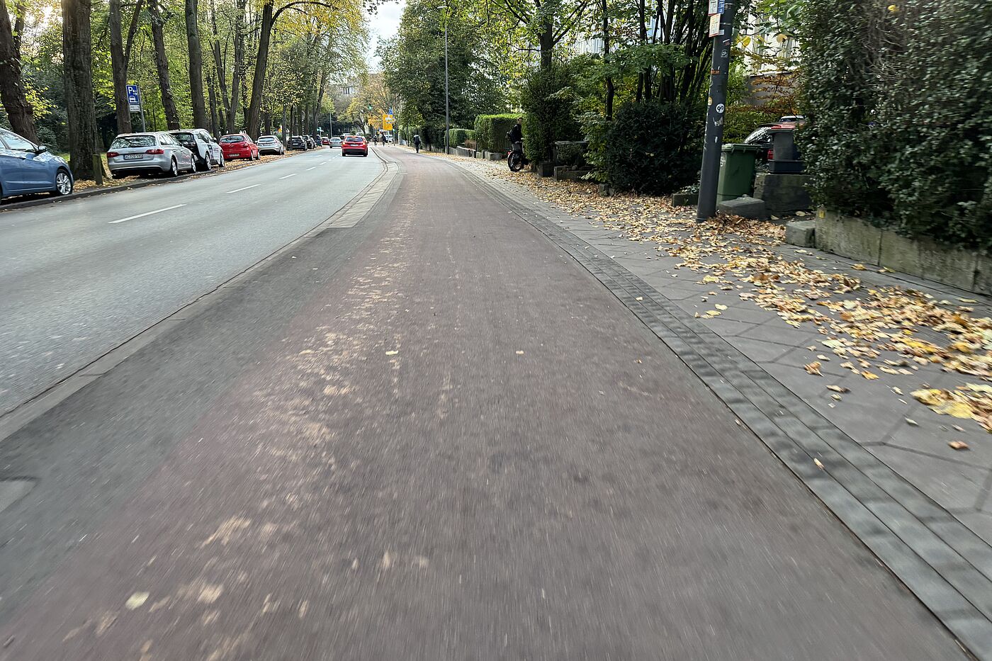 Ludwigsallee vom Laub geräumt