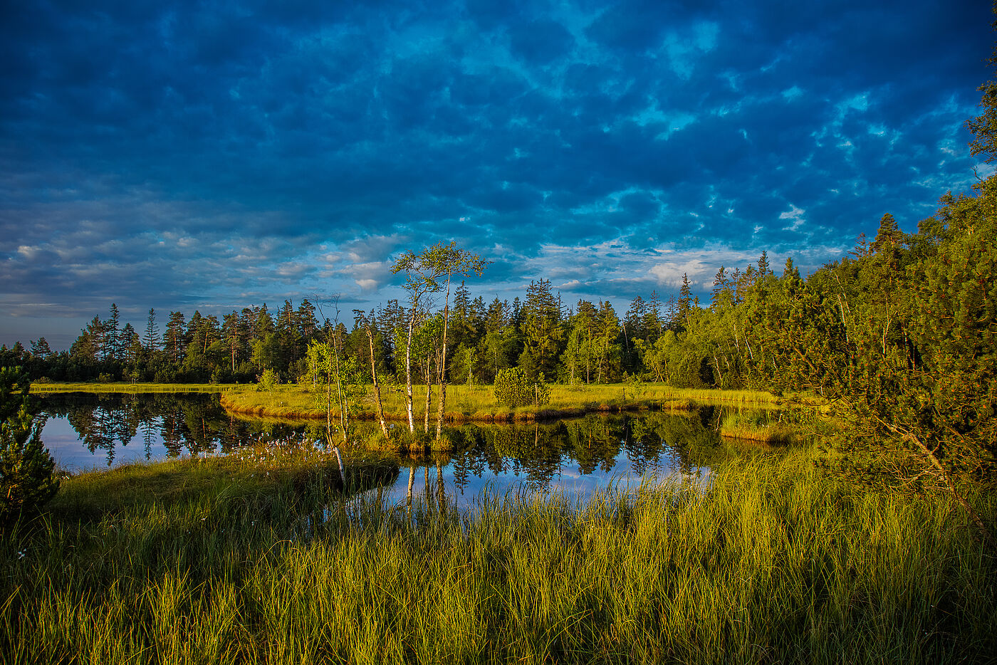 Wildsee Kaltenbronn