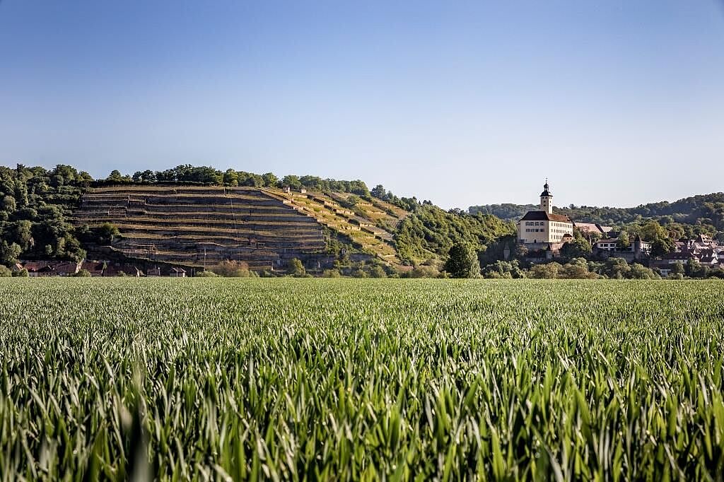 Odenwald-Madonnen-Radweg_Gundelsheim_Schloss Horneck