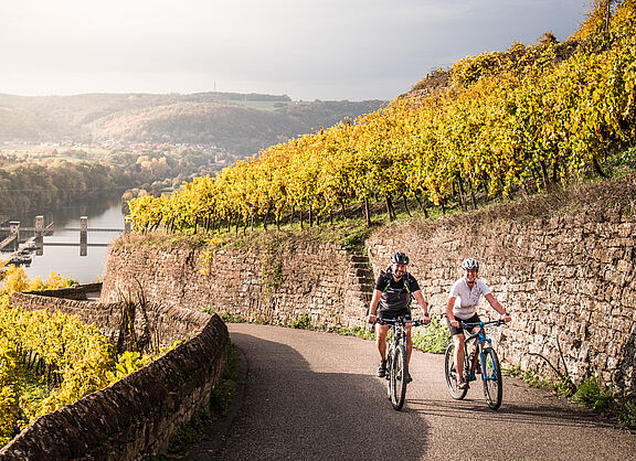 Neckartal-Radweg, zwei Radfahrer auf dem Weg zur Burg Hornberg in den Weinbergen mit Blick ins Neckartal