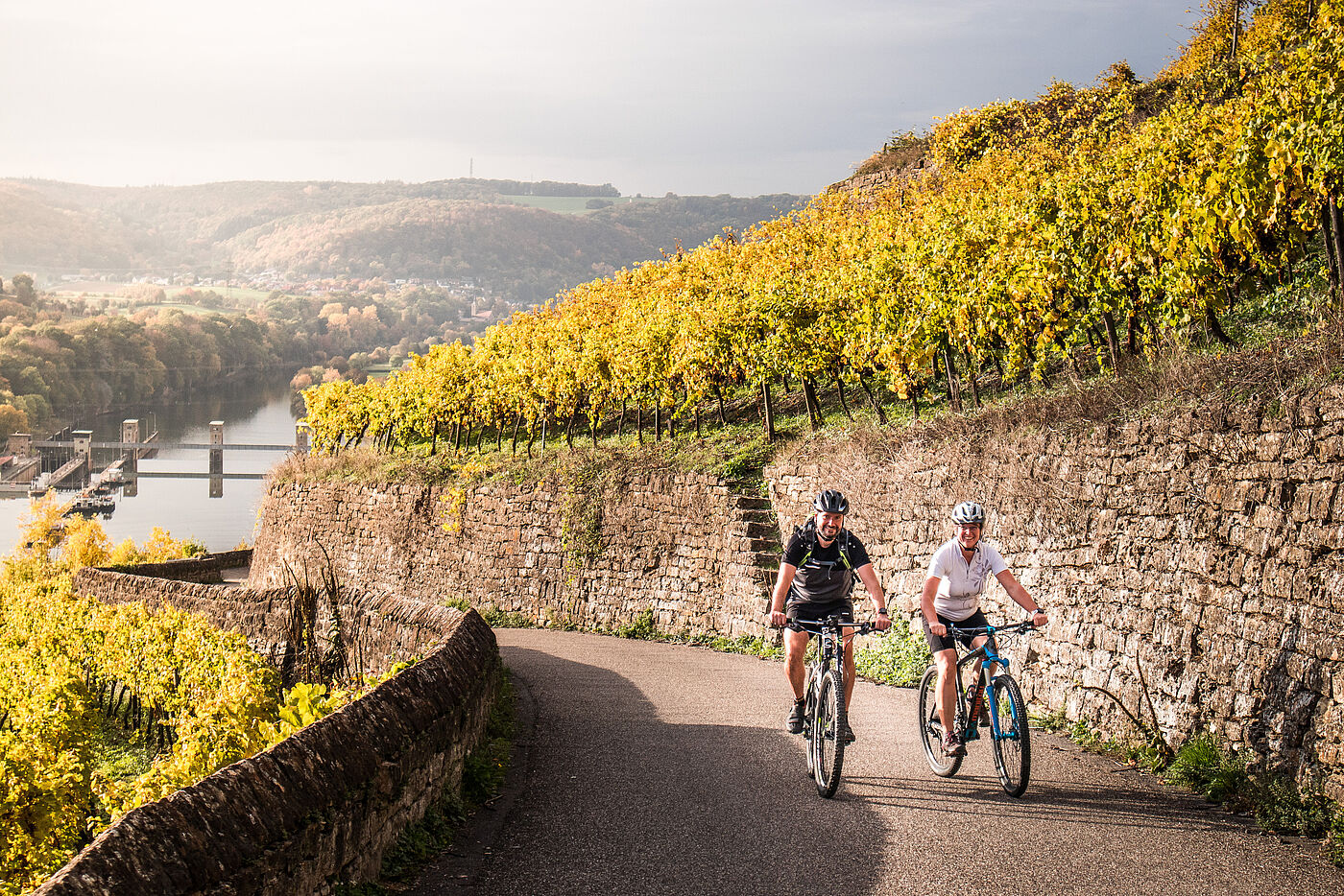 Neckartal-Radweg, zwei Radfahrer auf dem Weg zur Burg Hornberg in den Weinbergen mit Blick ins Neckartal