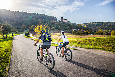Neckartal-Radweg_Burg_Guttenberg