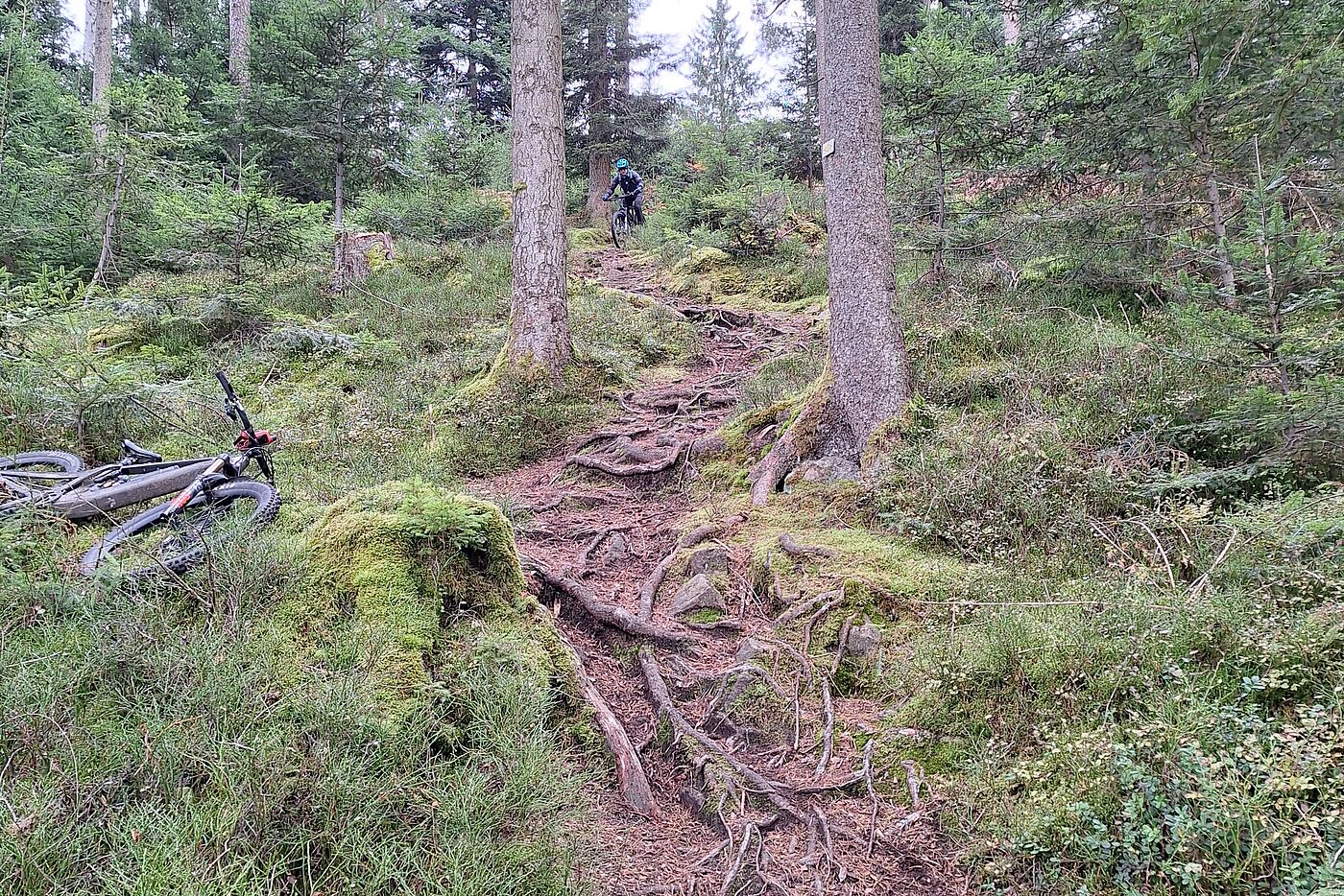 MTB Reutlingen
