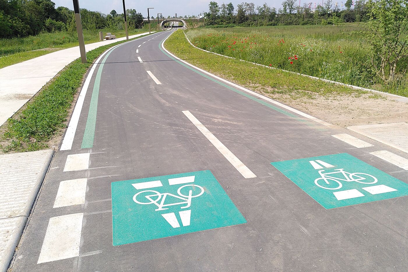 Radschnellweg 15 Mannheim