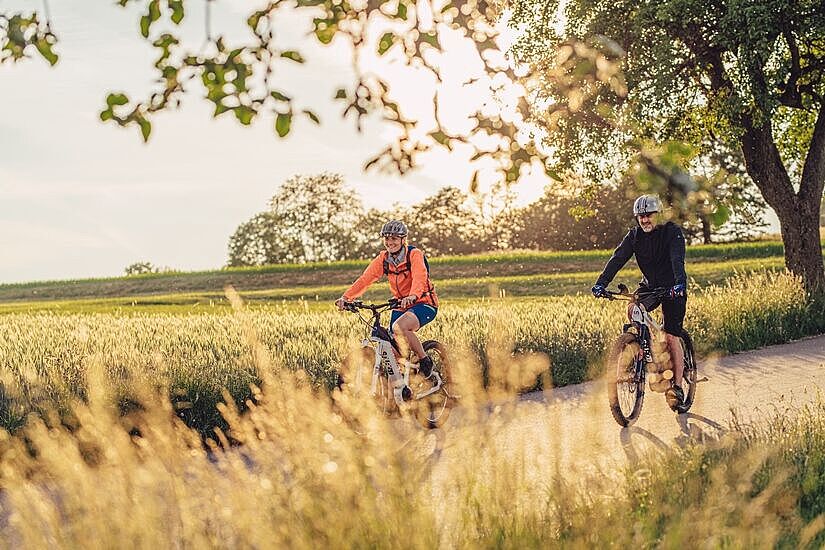 Odenwald-Madonnen-Radweg_Radfahren im Odenwald