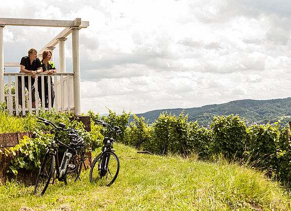 Remstal-Radweg_E-Bike in den Weinbergen