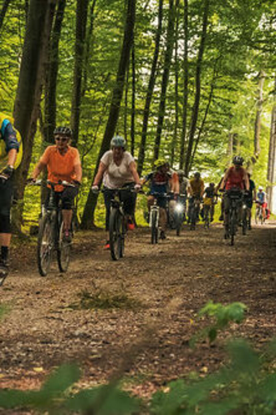 Naturbelassener_Weg Radfahren auf naturbelassenen Wegen