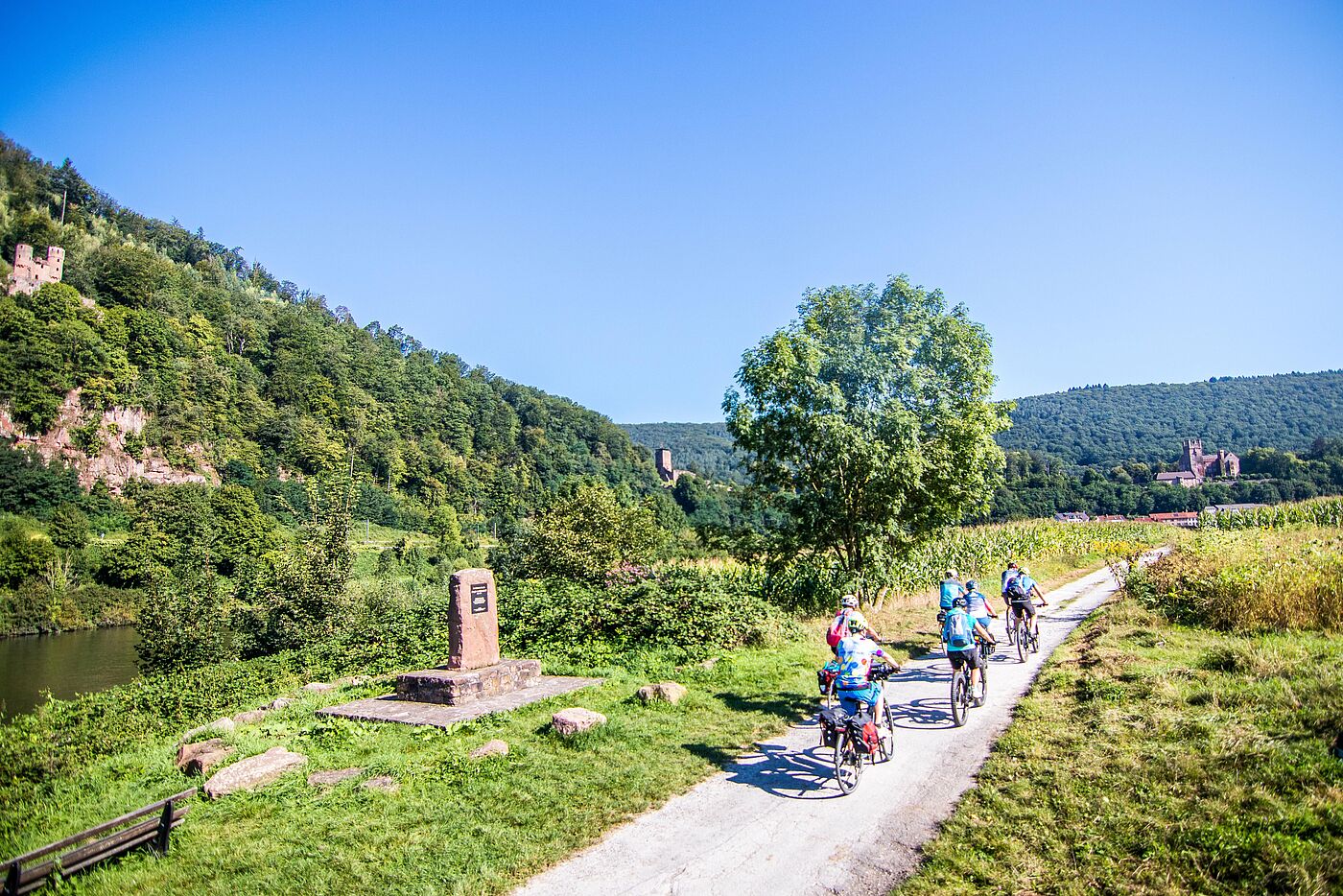 Neckartal-Radweg_Rhein-Neckar-Kreis