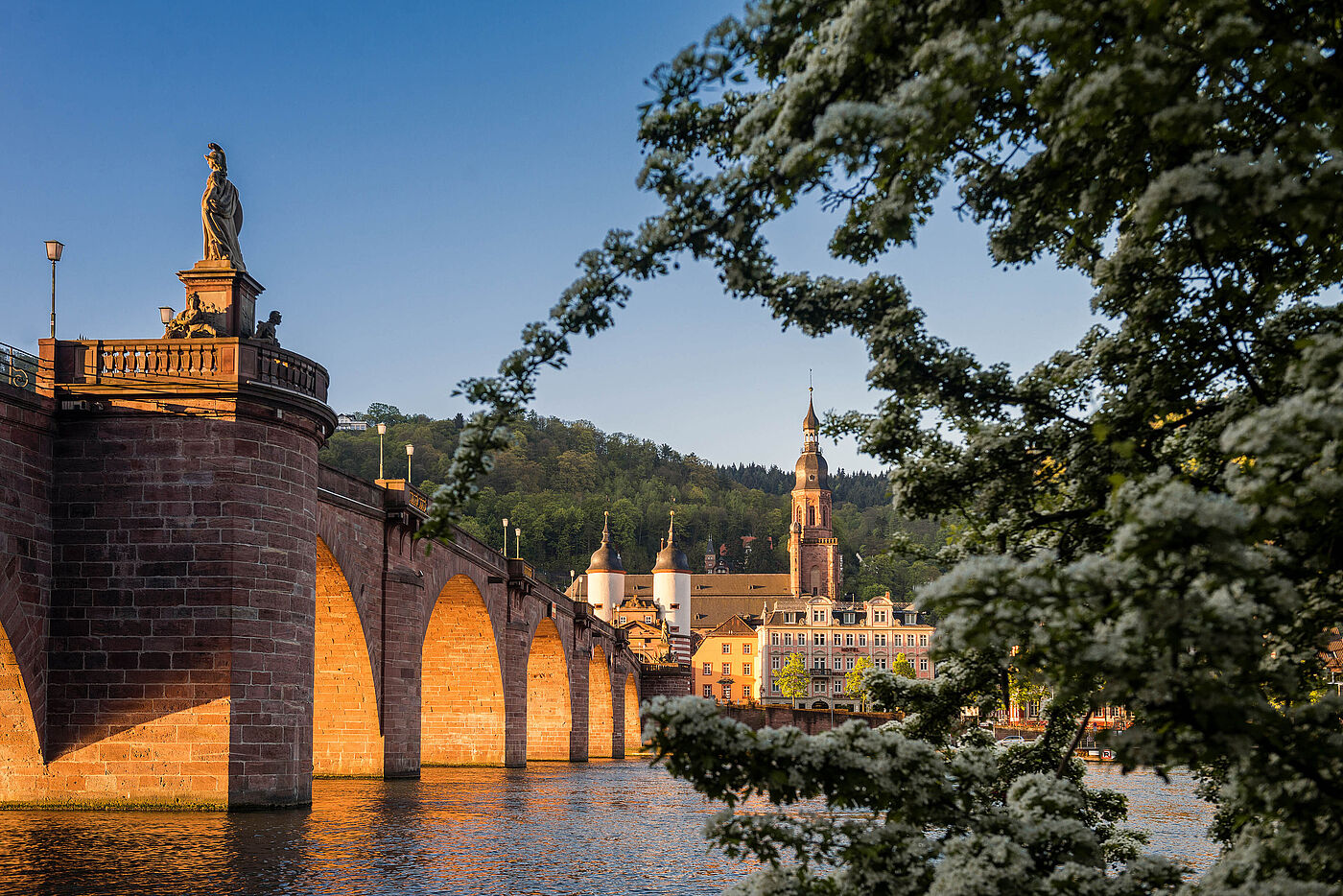 Alte Brücke_Heidelberg