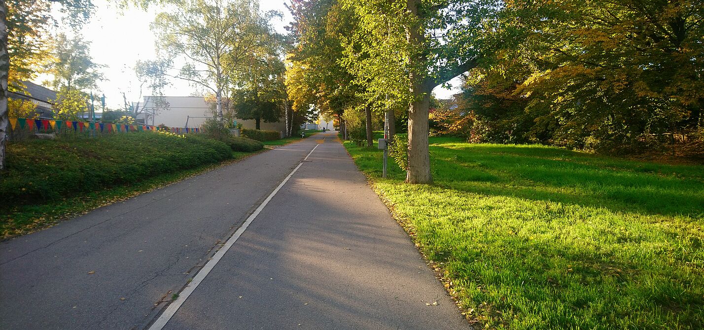 Hainbuchenweg mit Radverkehrszähler rechts am Laternnmast