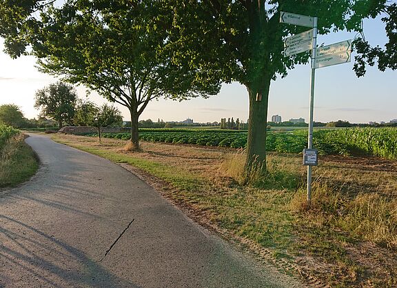 Radverkehrszähler am alten Bahndamm zwischen Unteraichen und Echterdingen