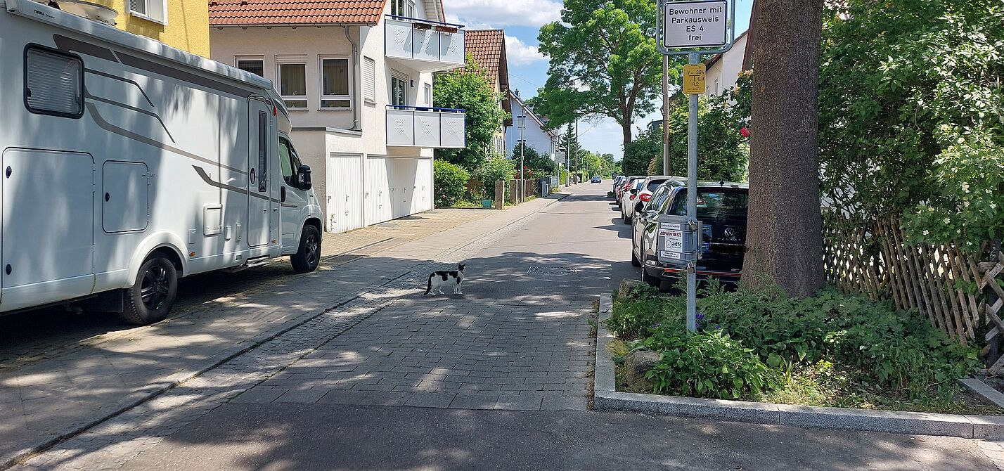 Radverkehrszähler in der Untertorstraße
