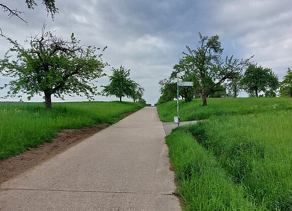 Radverkehrszähler am Unteraicher Weg zwischen Musberg und Oberaichen