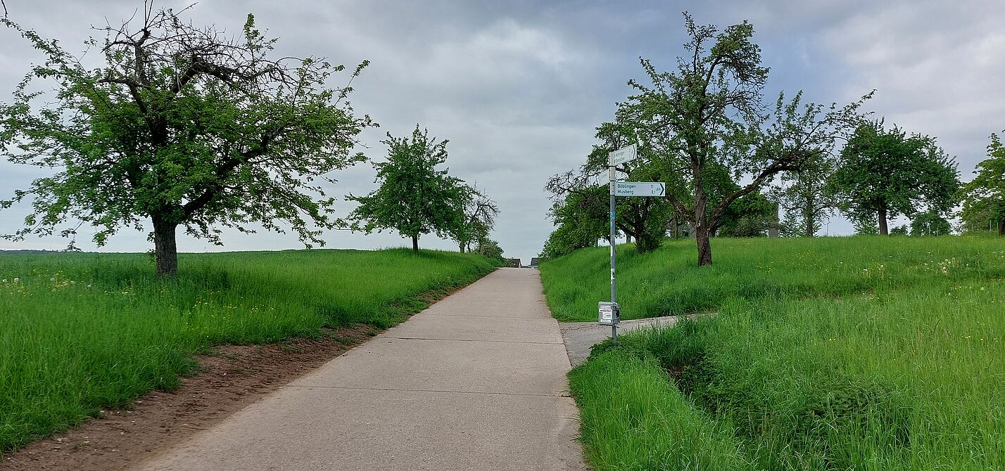 Radverkehrszähler am Unteraicher Weg zwischen Musberg und Oberaichen