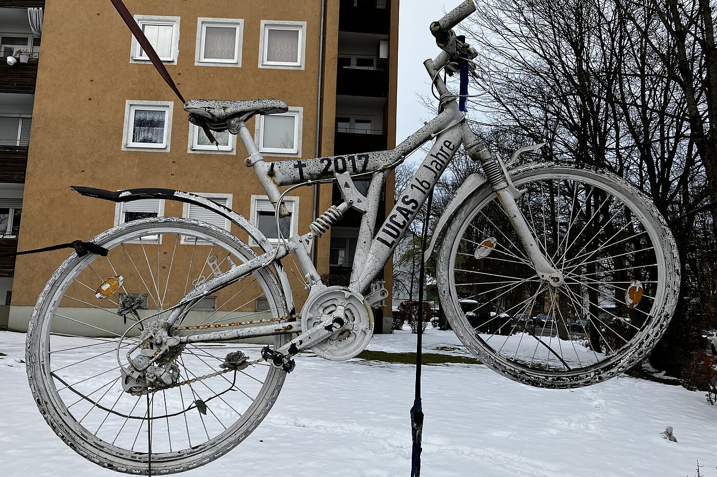 Weißes Rad hängt zwischen zwei Bäumen
