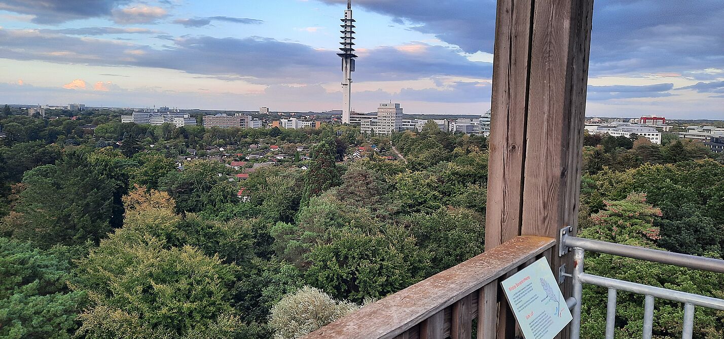 Fernsehturm Blick vom Eilenriede Turm Waldhochhaus Hannover Waldstation Auf Augenhöhe mit dem "Telemax" in Hannover, fast jedenfalls ;-)