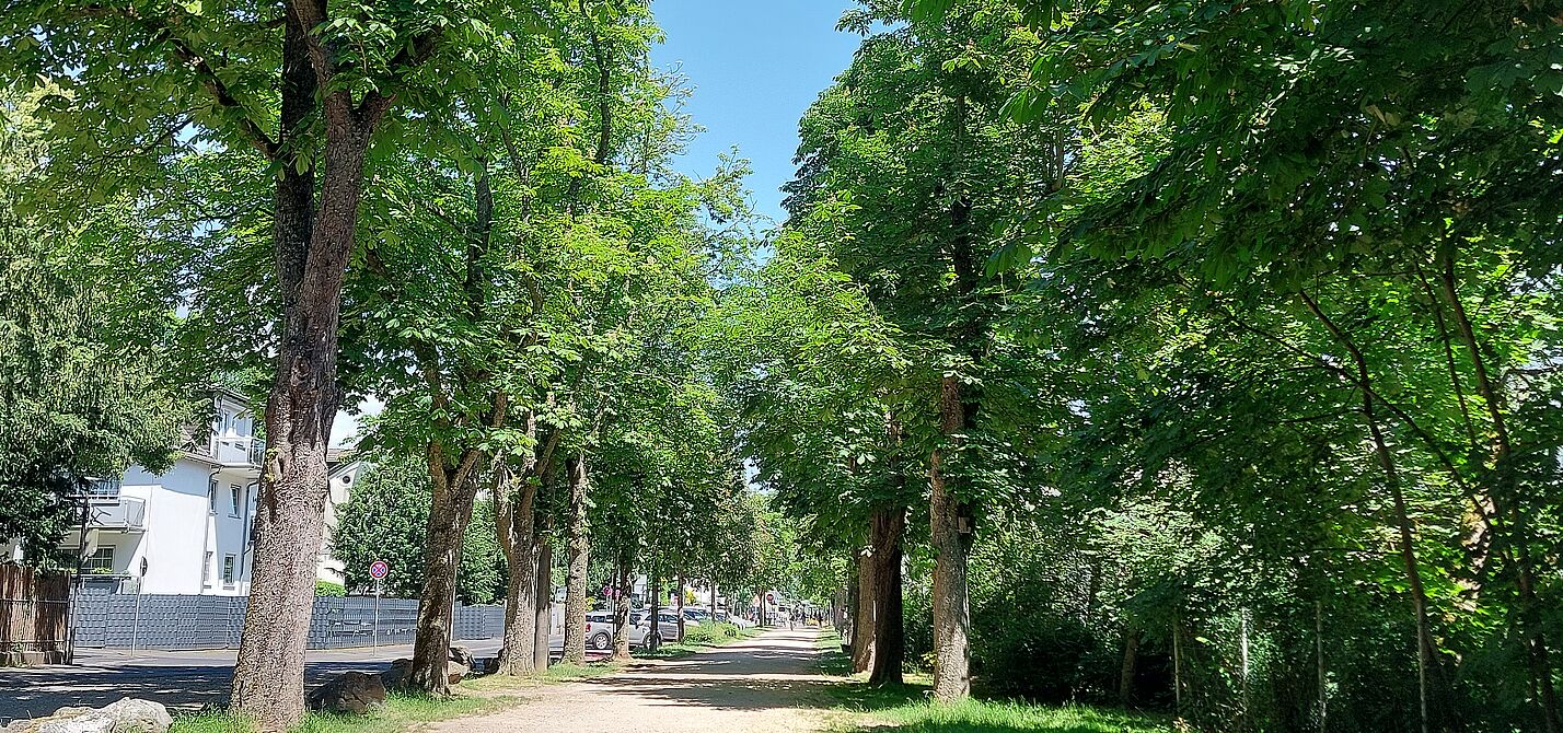 Nassauer Straße Blick in die Nassauer Straße