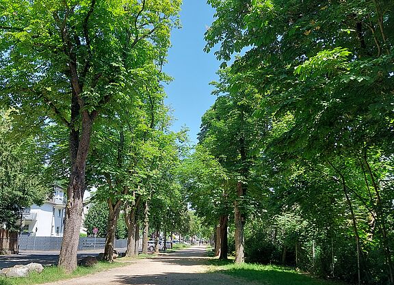 Nassauer Straße Blick in die Nassauer Straße