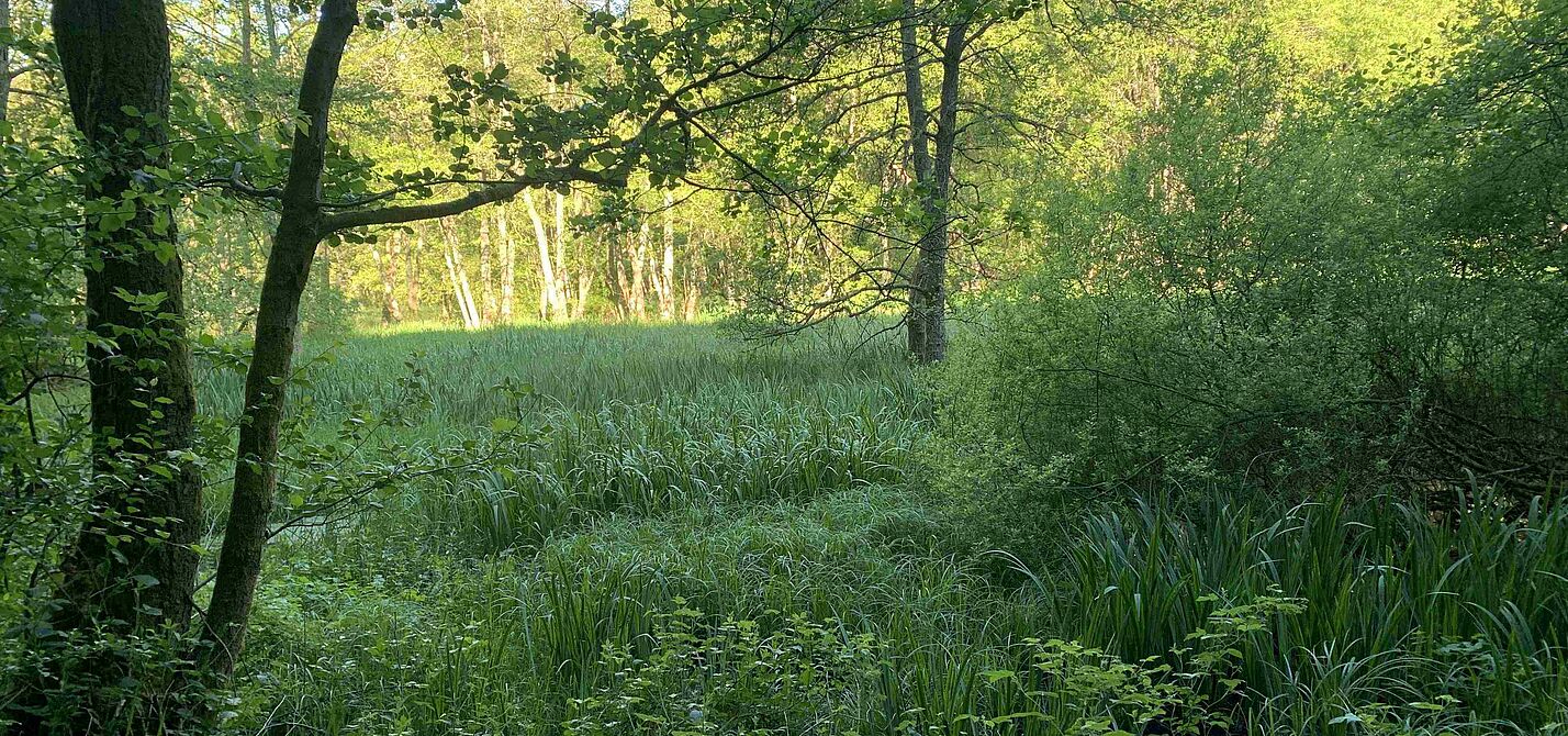 Lambsbachtal Lambsbachtal