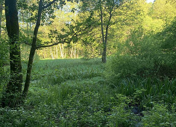 Lambsbachtal