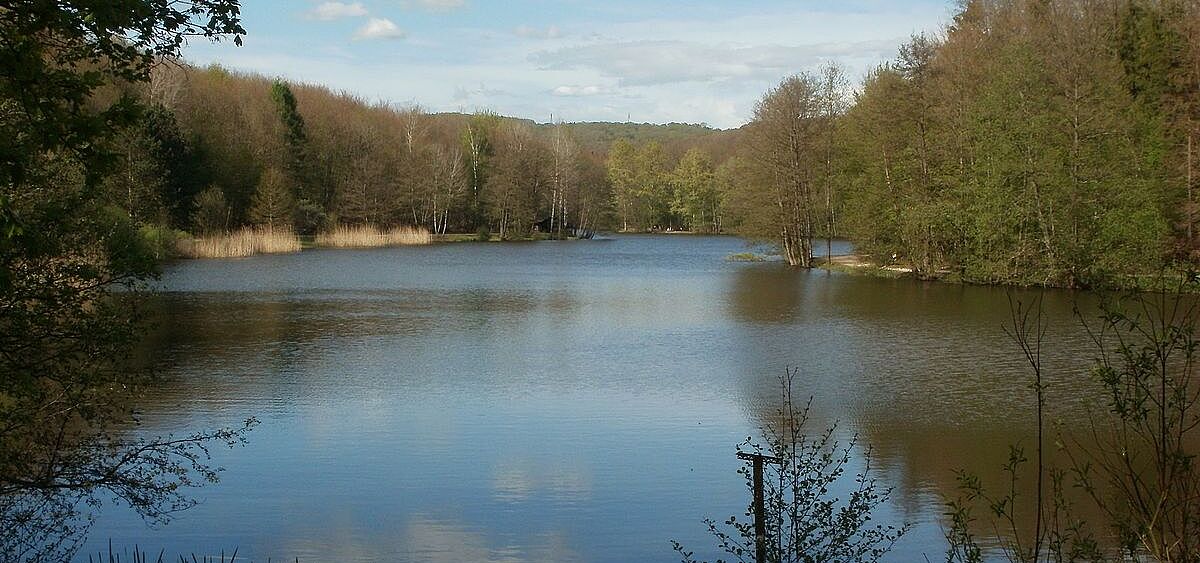 Burbacher Waldweiher