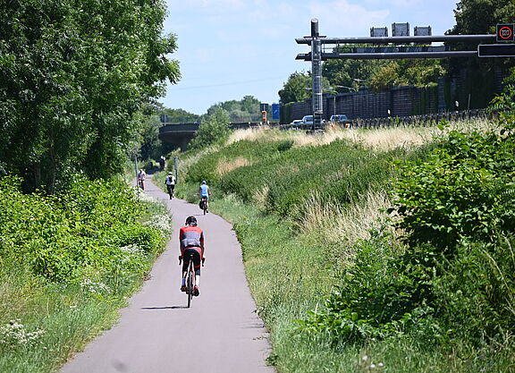 Saar-Radweg mit direkter Sonne