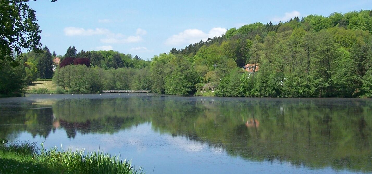 Würzbacher Weiher