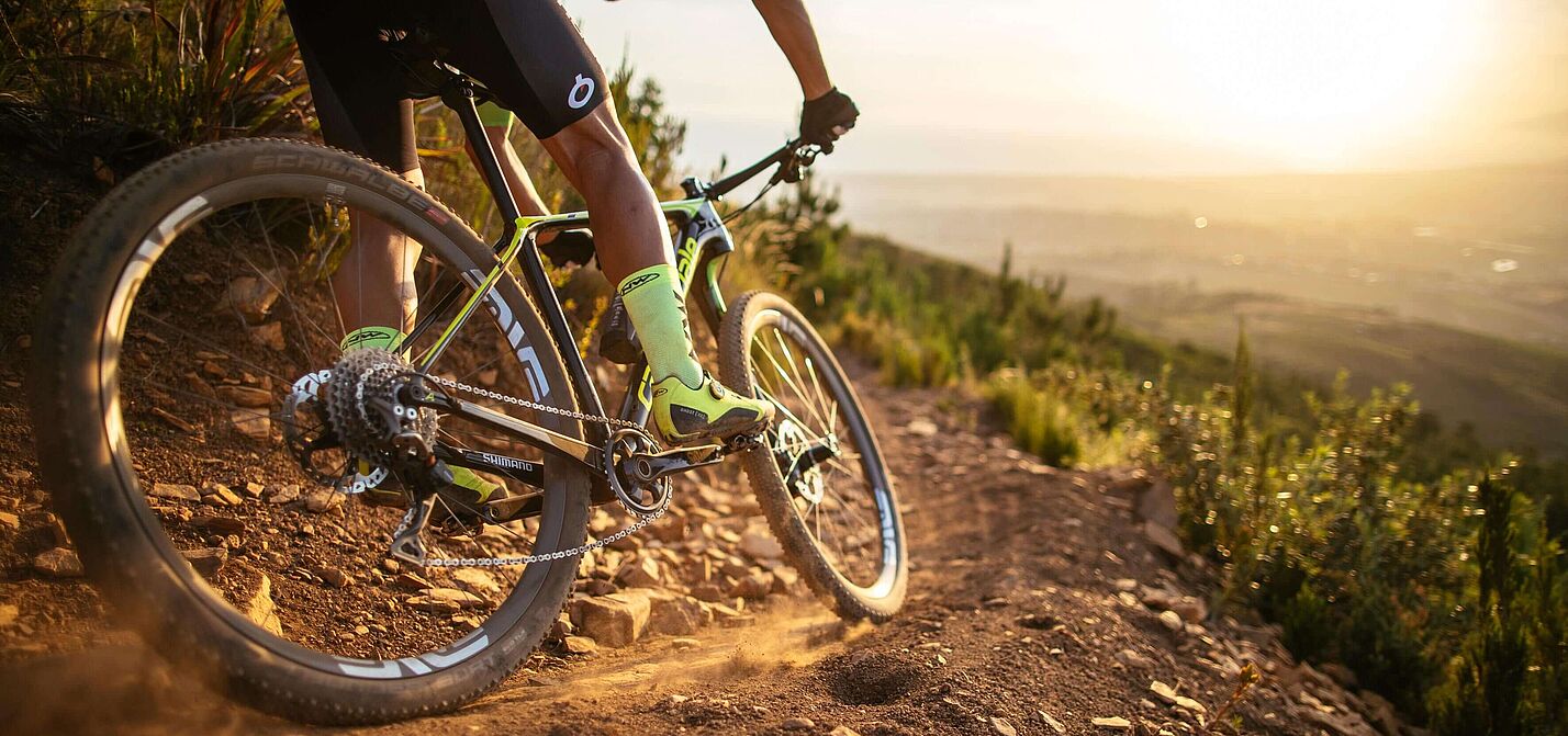 Mit dem Mountainbike in der Natur Mit dem Mountainbike in der Natur